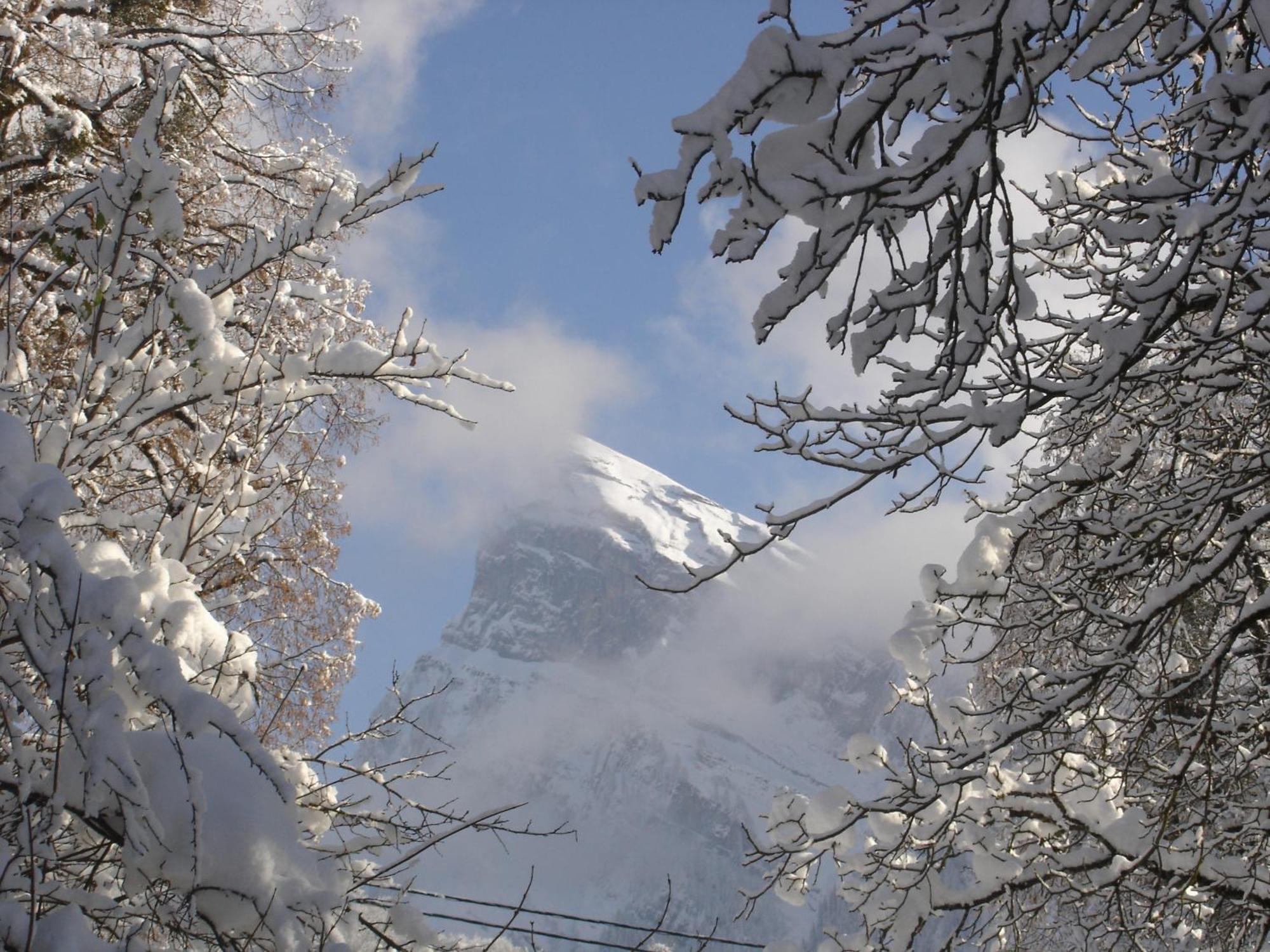 Edelweiss Samoëns Exterior foto